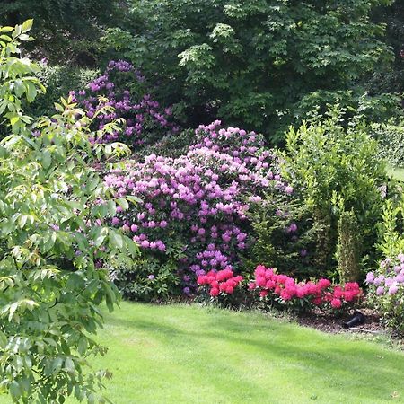 Bed & Breakfast Op 'T Leven Ermelo Zewnętrze zdjęcie