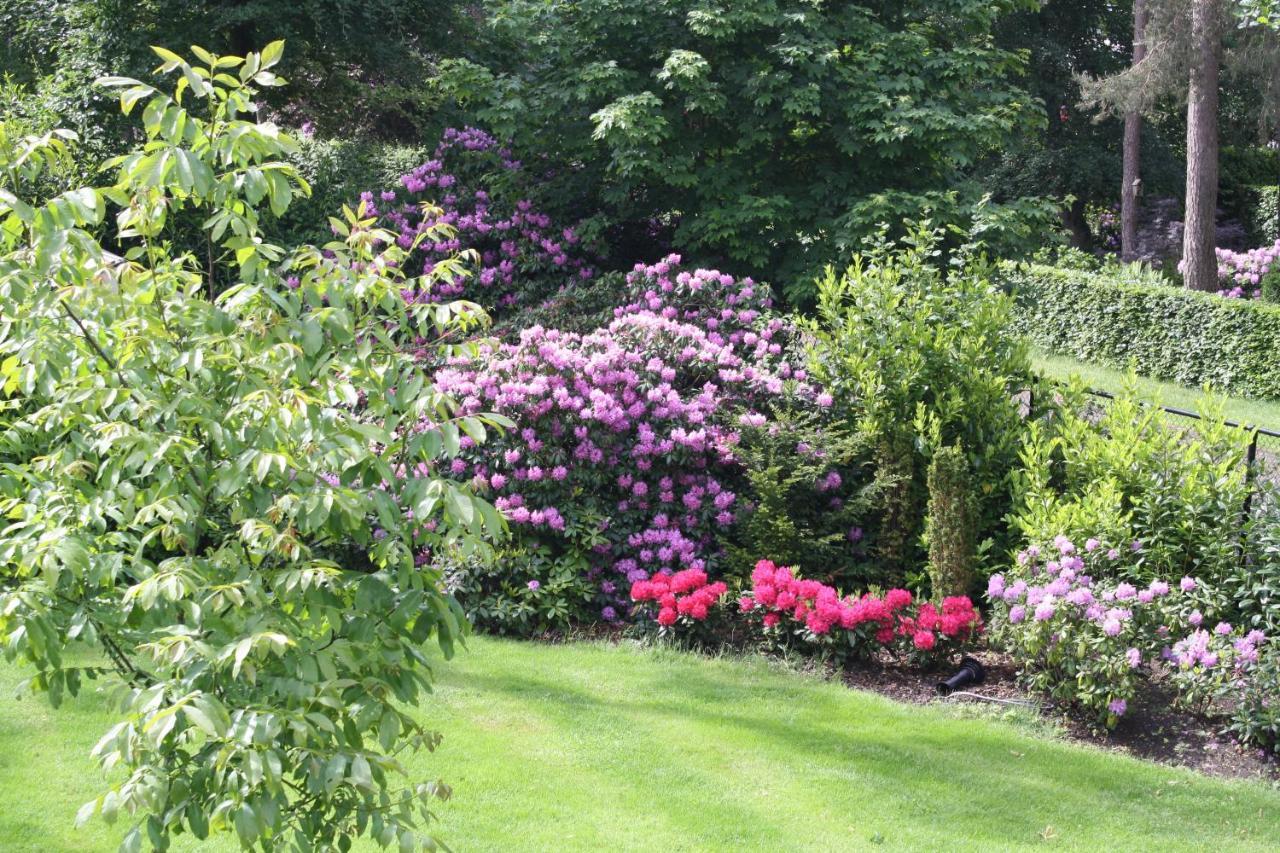 Bed & Breakfast Op 'T Leven Ermelo Zewnętrze zdjęcie